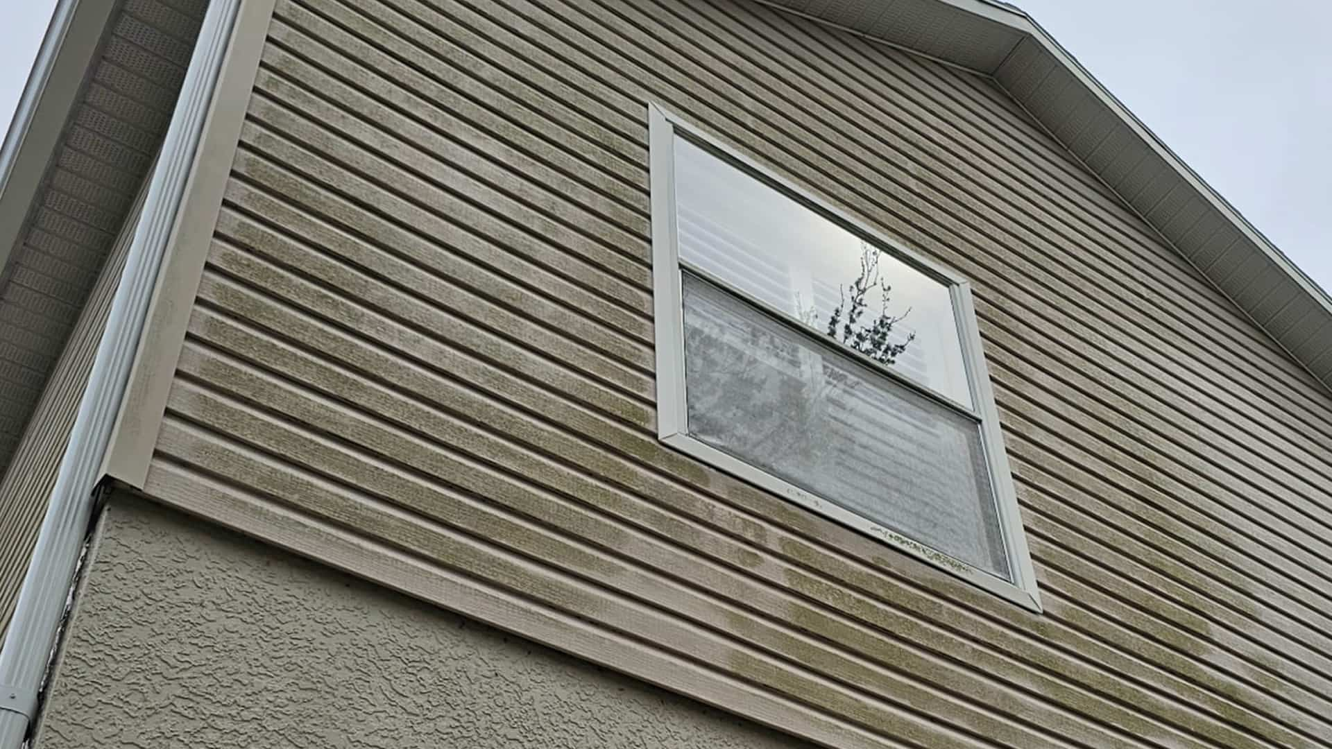 Home Siding Image